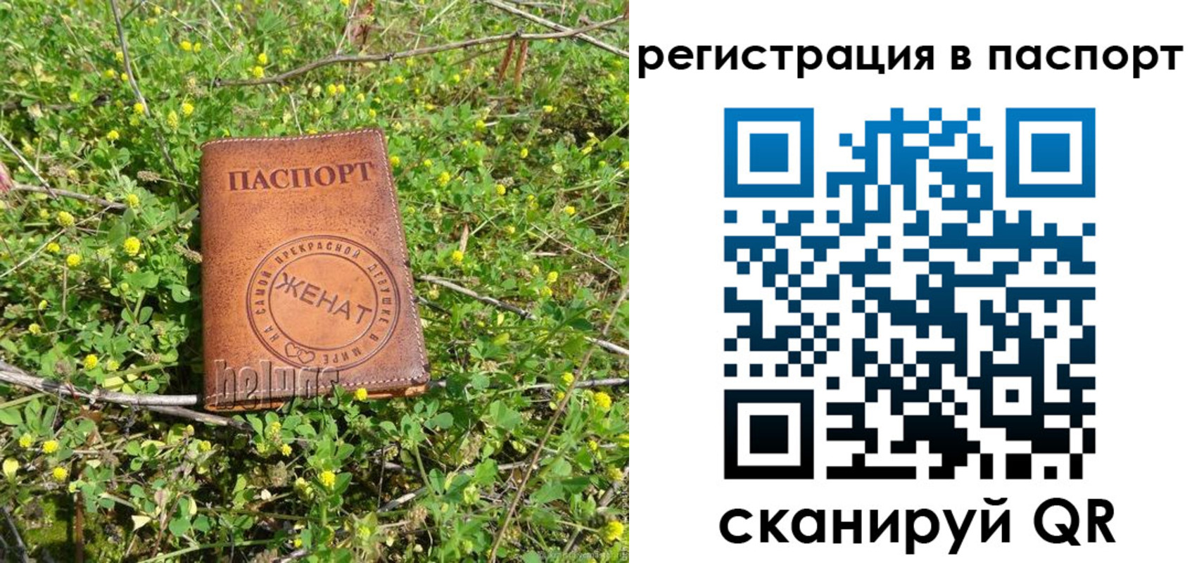 прописка законно в Мурино